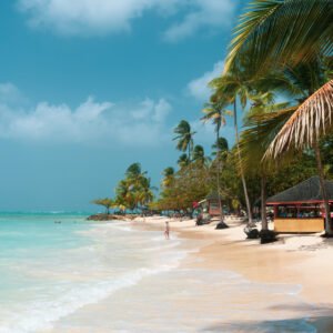 Maracas Cool-Down Lime (Day 8)