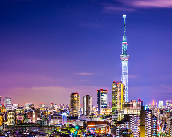 Japan MasX Experience