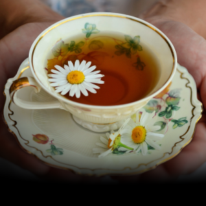 Cha Dok Mai / Floral Tea