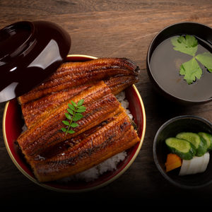 Unadon / Grilled Eel Rice Bowl
