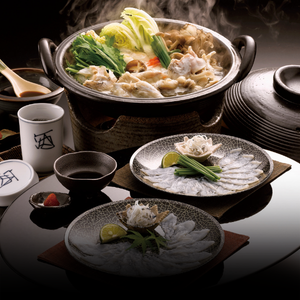 Fugu / Japanese Pufferfish Delicacy
