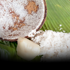 Khanom Maprao / Coconut Desserts