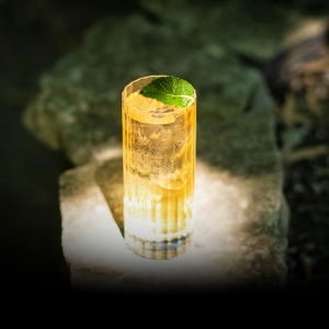 Japanese Whisky Highball