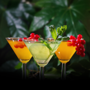 Thai Botanical Cocktails