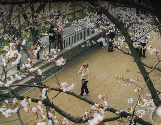 SOUTH KOREA – MIND, BODY & SEOUL: I-TEN-AIR-RARE-RE:™ - Image 4