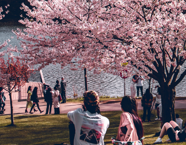 LOST IN JAPAN: FLEETING LIFE™ - Image 10