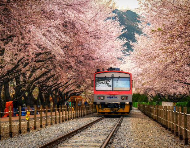 SOUTH KOREA – MIND, BODY & SEOUL: FLEETING LIFE™ - Image 2