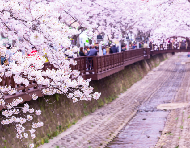 SOUTH KOREA – MIND, BODY & SEOUL: FLEETING LIFE™ - Image 5