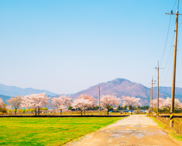 SOUTH KOREA – MIND, BODY & SEOUL: FLEETING LIFE™ - Image 10