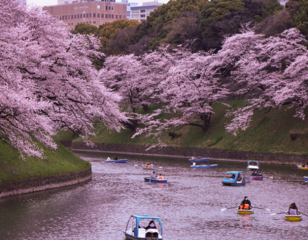 LOST IN JAPAN: FLEETING LIFE™ - Image 3