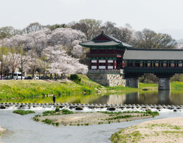 SOUTH KOREA – MIND, BODY & SEOUL: FLEETING LIFE™ - Image 7