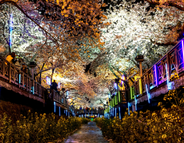 SOUTH KOREA – MIND, BODY & SEOUL: FLEETING LIFE™ - Image 9