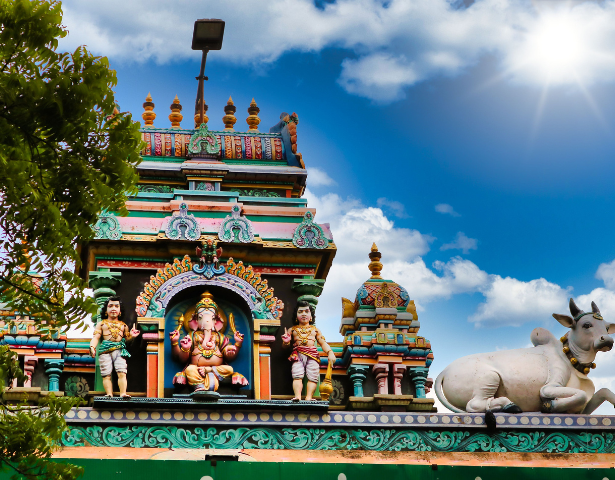 INDIA – ETERNAL EUPHORIA: ECHOES OF AN EMPIRE™ - Image 6