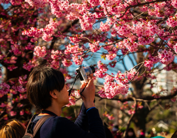 LOST IN JAPAN: FLEETING LIFE™ - Image 6
