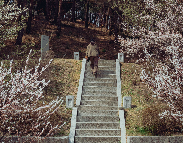 SOUTH KOREA – MIND, BODY & SEOUL: FLEETING LIFE™ - Image 8