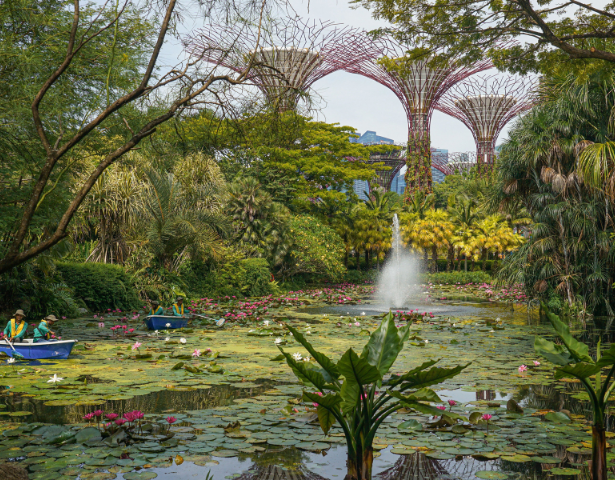 SINGAPORE - UTOPIAN DREAMS: ULTIMATE SINGAPORE - Image 7